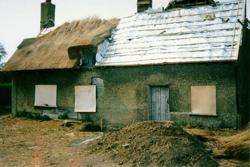 But even here, in a country with big rolls of moisture barrier, people still top it up with ephemeral, traditional thatch. The Euro? Not thi