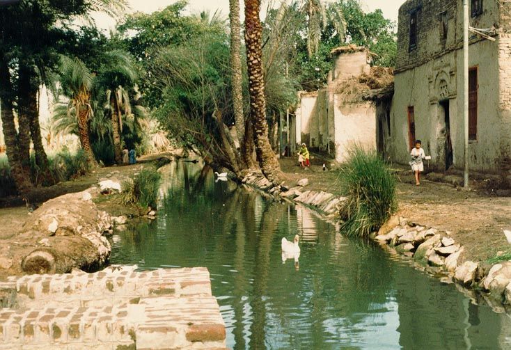 Contemporary Egypt, but not so unlike the historic country. This is the Faiyum Depression, which lies below sea level in the desert southwes