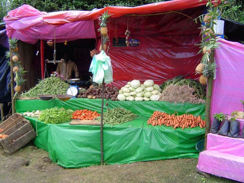 Most of the vegetables are trucked to distant markets, but some are sold locally from dozens of roadside stands like this one.