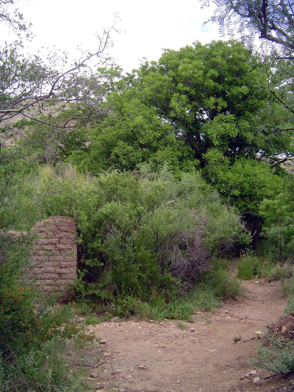 Foundations of his house.