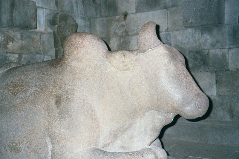 Facing his master but in his own temple, the bull Nandi.