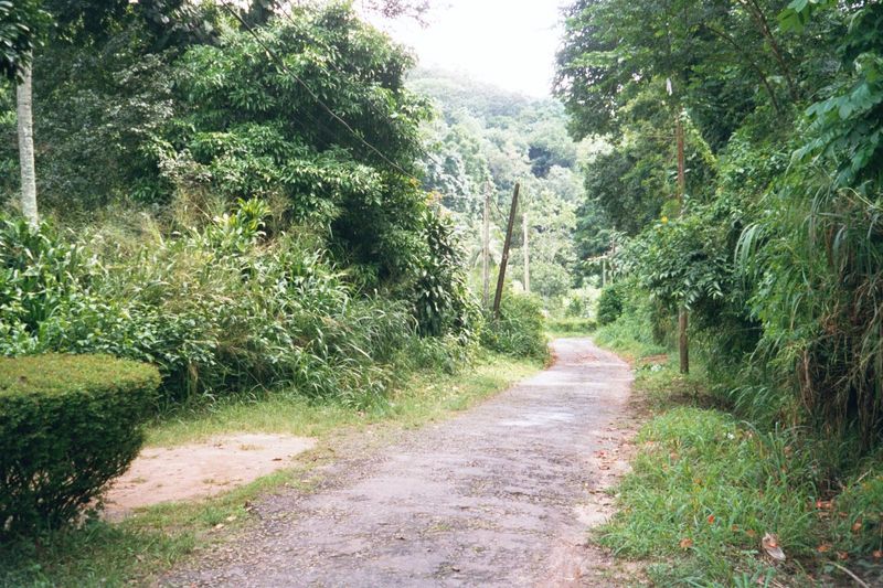 The British were very fond of recreational walks and rides, and they built bridal paths in what had been the Udavattekale, the "land above t