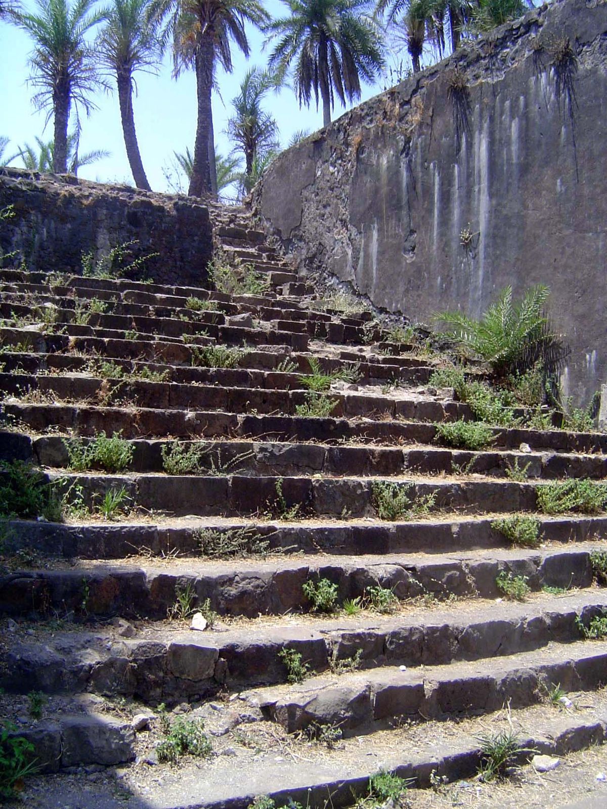 The first Captain of the city, Garcia de Sa, built the fort in 1536 at the command of the Governor, Nuno da Cunha.