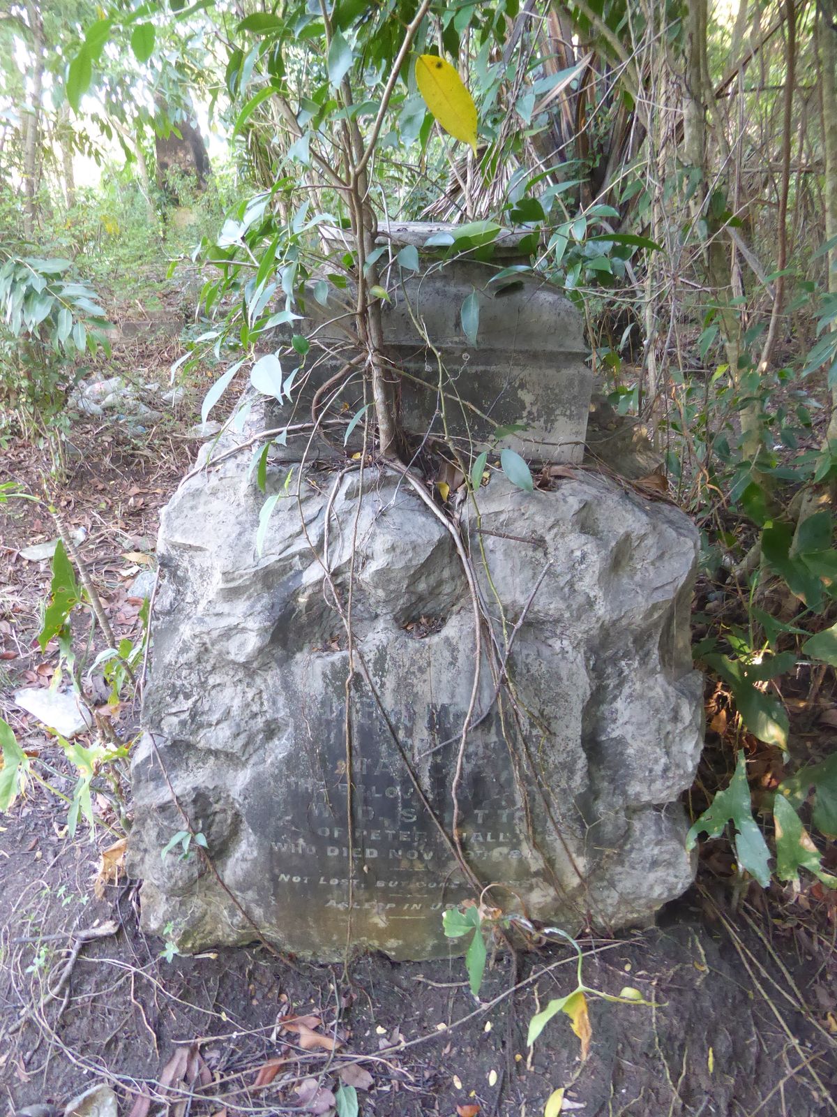 Here's a more-legible-than-most monument. It reads: "Mary?, beloved wife of W.D. Scott of Peter Hall who died Nov ?9th, 18?? Not lost, but g