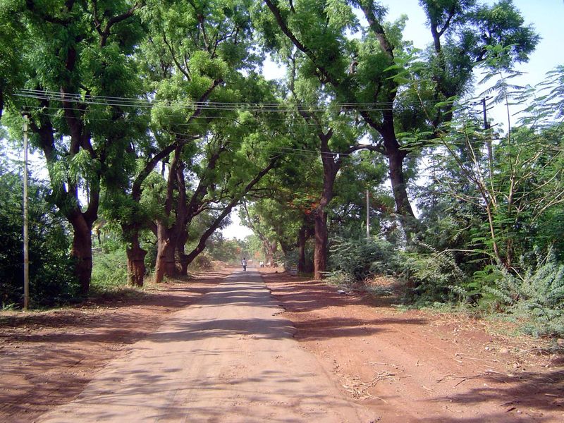 Roads, roads, roads. India has every kind. Here's one stretch in need of an upgrade, unless you're content to dawdle.