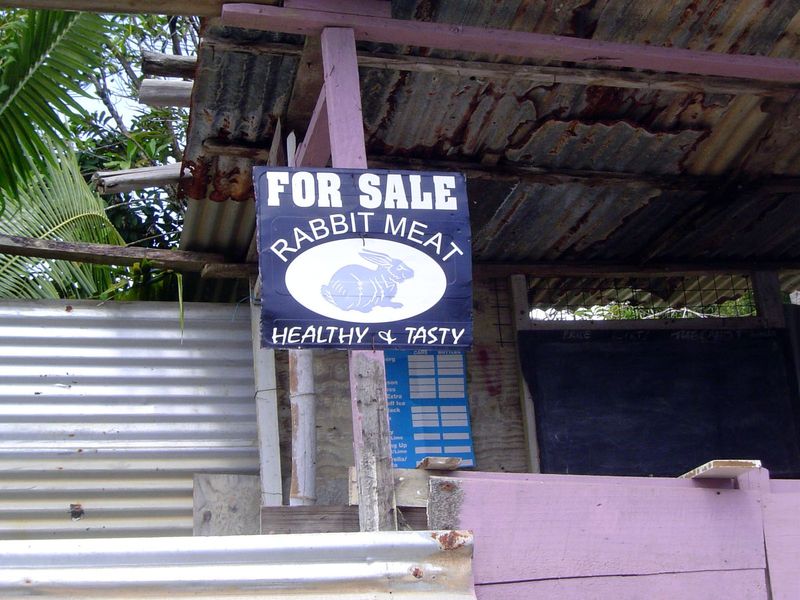 Small shop at Toco.