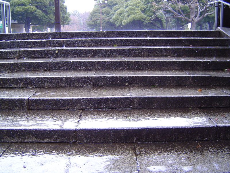 There's Ueno Park, too, once a temple and monastery complex but now a museum center.