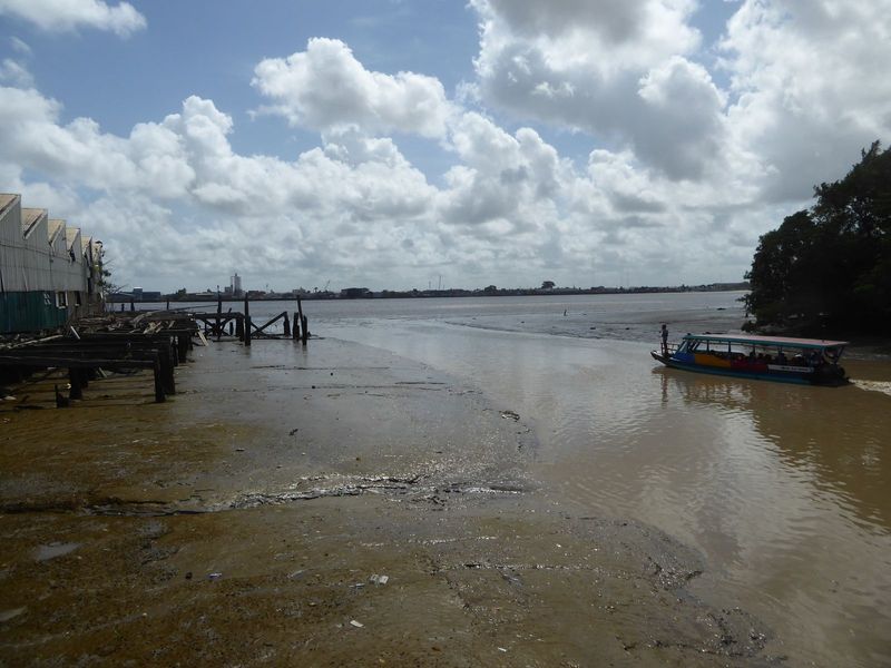The river's muddy.