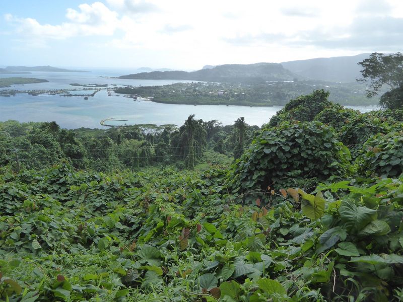 A clearer view of Kolonia. The Spanish called the place Santiago de la Ascension, but informally they also called it La Colonia. The Germans