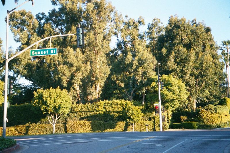 The same place: seclusion at Hollywood and Hillcrest comes at a price. The assessor valued the parcel in 2002 at about $10 million taxes wer