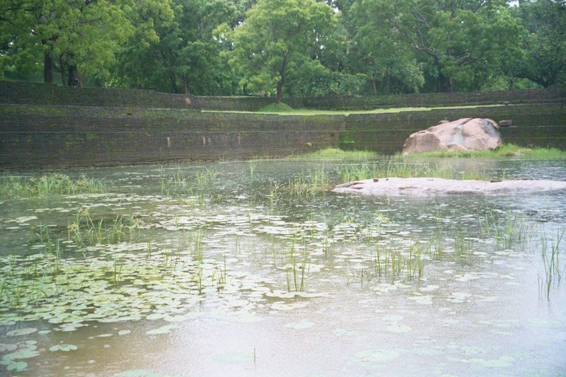 Rain on a palace pond, down once again on the surrounding plain.