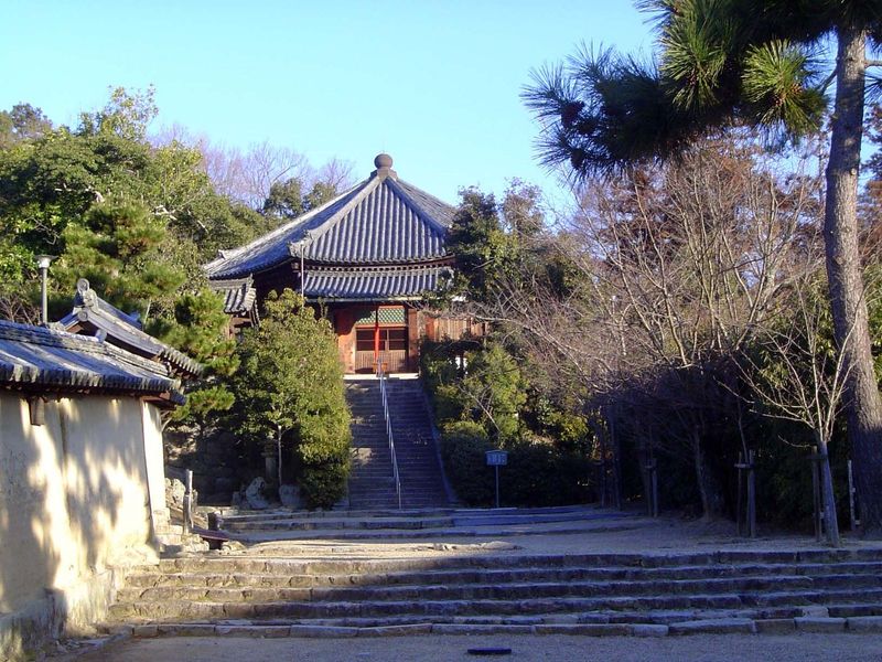 It's the Saiendo, or West Round Hall, containing another image of Yakushi.