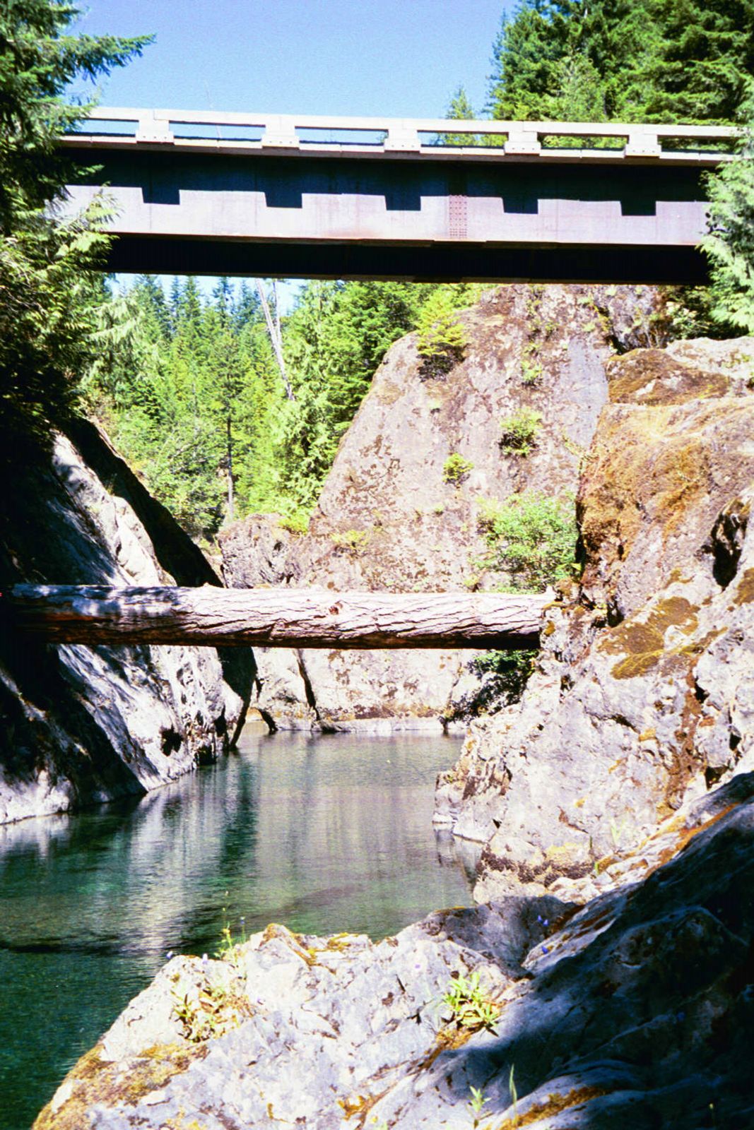 Back in the same mountains, a logging road crosses Hemmingson Creek, south of Cowichan Lake. Park-grade scenery.