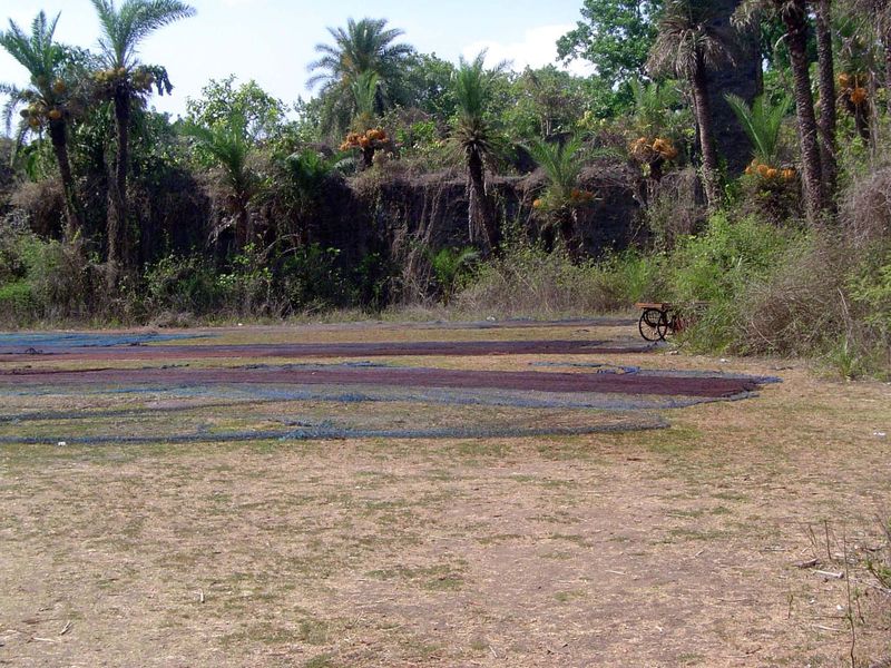 Fishnets are spread to dry within the inner fortress.