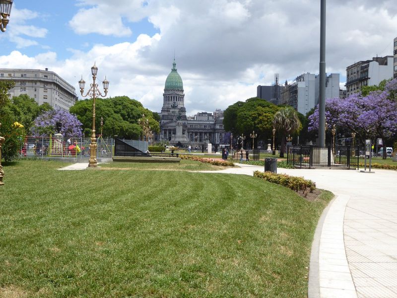 The Palace of the Argentine National Congress is enhanced by jacarandas, native to Latin America though widely planted elsewhere.

The park 