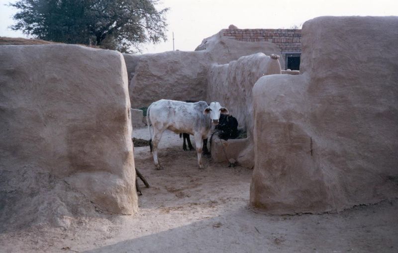 A different kettle of fish. This is Khaluwas, a village south of the town of Hissar, or Hisar.