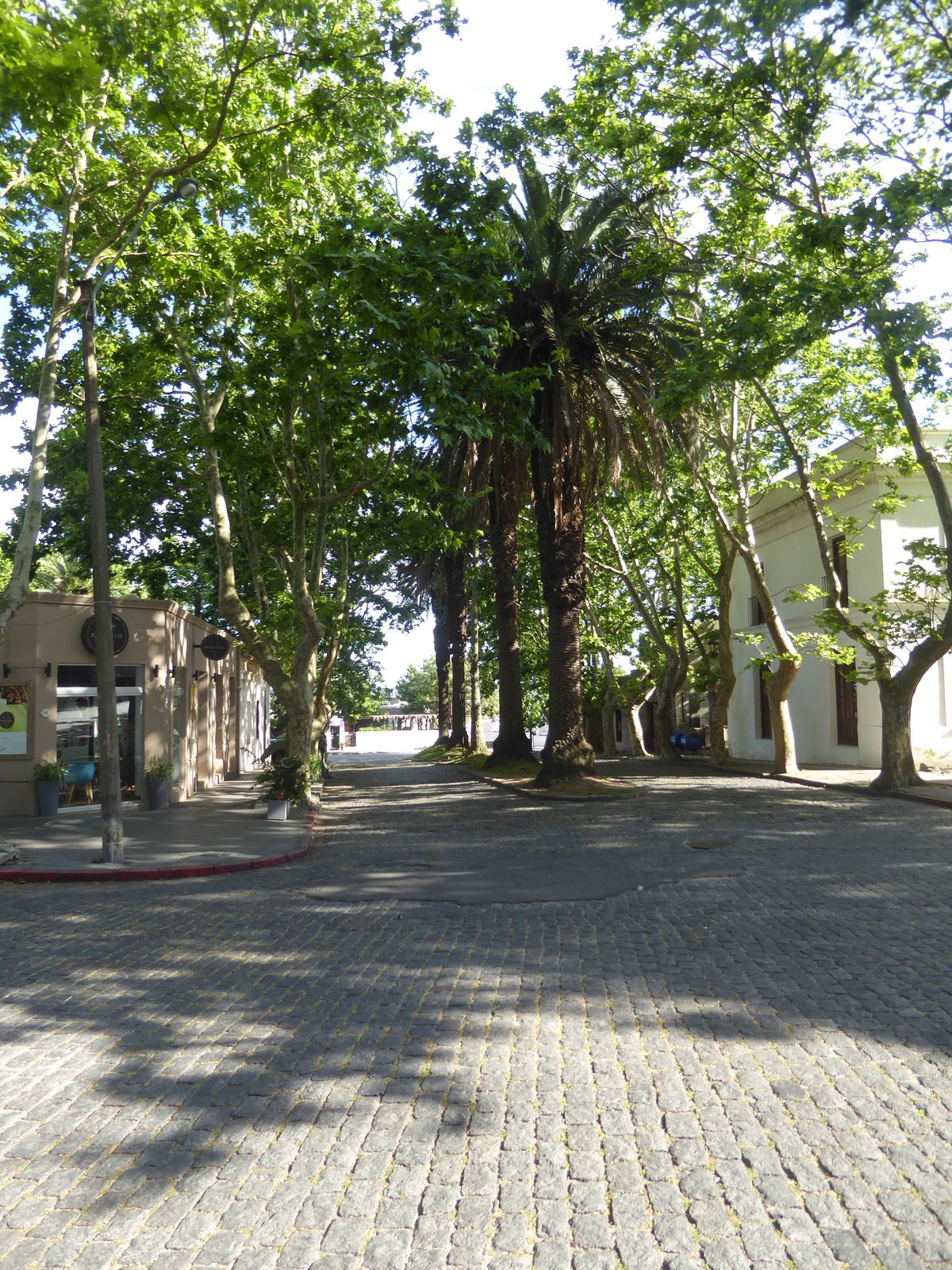 A one-block boulevard.