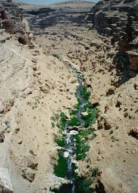 The Kidron flows east from Jerusalem and soon descends into a deep canyon known as Wadi Nar, "the valley of fire." The greenery is misleadin