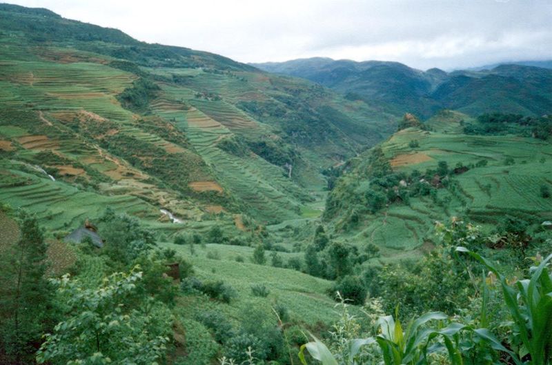 The countryside around Hengdi was settled by farmers only in the last few centuries as land hunger increased in China. Rice isn't grown here
