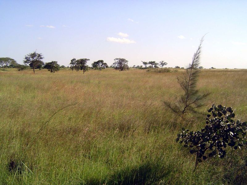 Huxley wrote of arriving by train from Mombasa: "With the dawn came enchantment. You looked out of the window to see great rolling plains, p