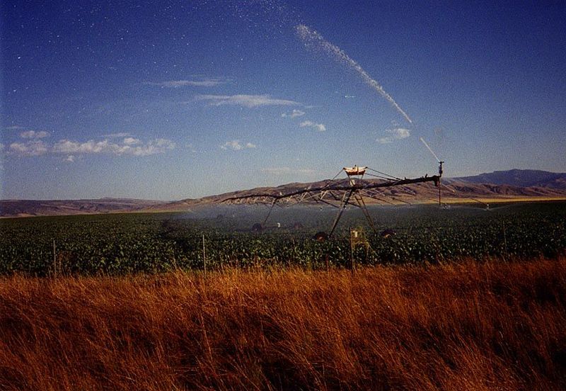 Here's the far end, where an impact sprinkler throws a heavy arc of water.
