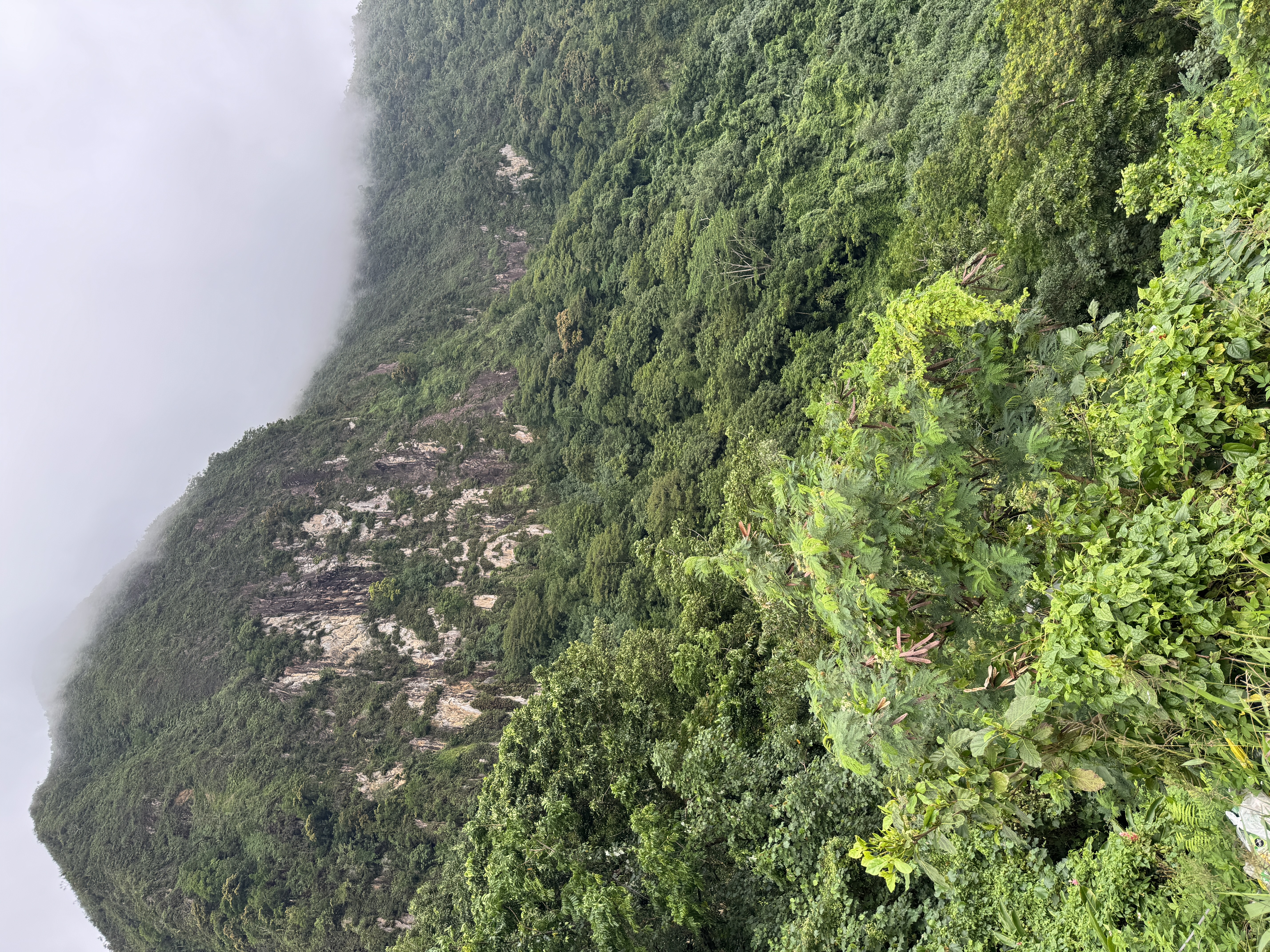 The summit, Afono Pass, is not terrifically high, but its flanks are terrifically steep.