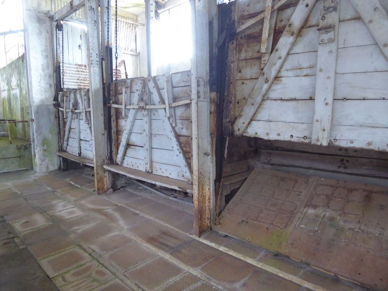 The side gate was raised, and the animal tumbled down, where it was shackled and hoisted.