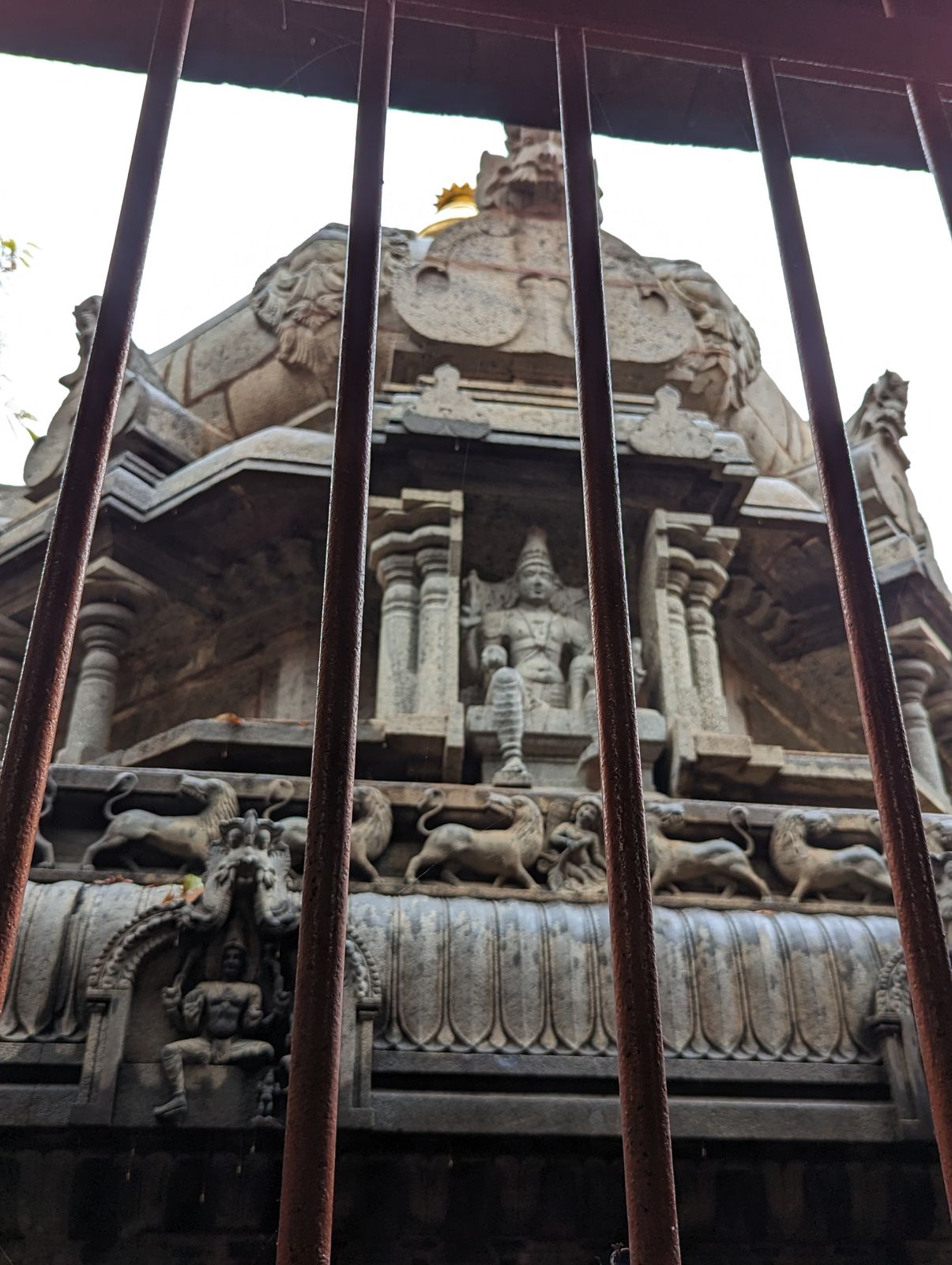 What are the bars guarding against? Answer: a specimen of a White Jambuka tree, Syzygium cumini, sustained by the temple's perpetual springs