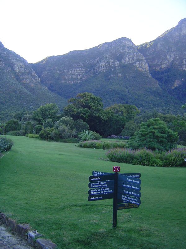 Between Mostert's Mill and Groot Constantia, and still on the east side of Table Mountainn, the Kirstenbosch National Botanical Garden was c