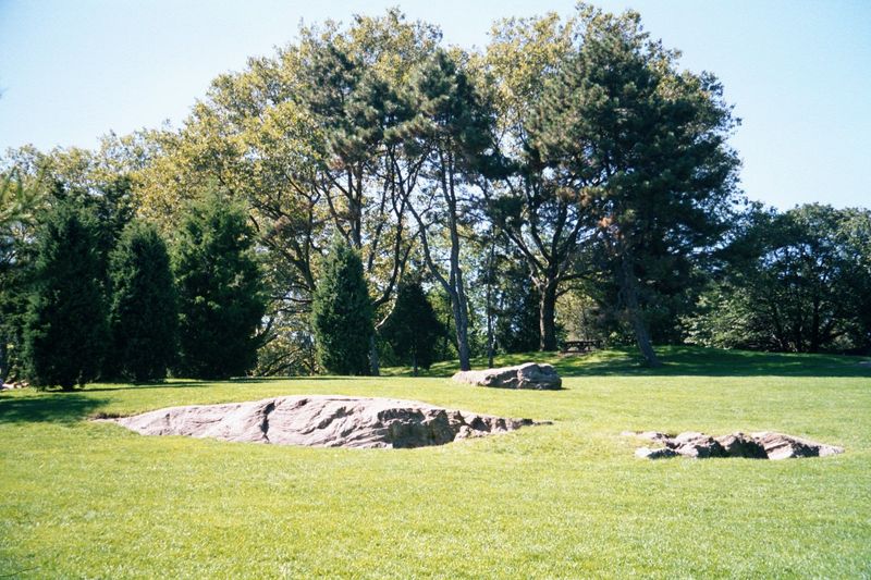 Rock outcrops in Central Park and close to the Metropolitan Museum of Art.