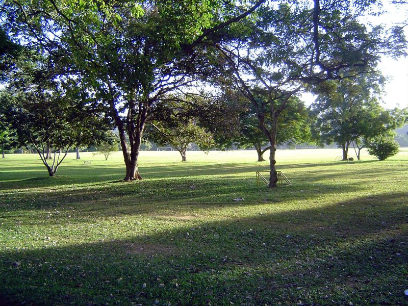 The Queen's Park Savannah. on the north side of the city, was originally the Paradise Estate, a sugar plantation. Governor Woodford bought i