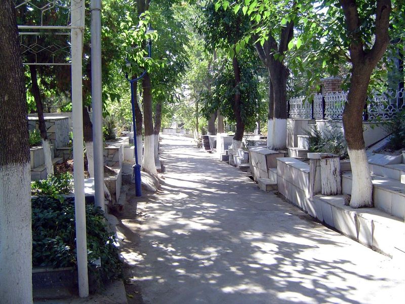 There is a formal entrance, but we're coming from the back, which is a large cemetery deliberately located near the tomb of "the living king