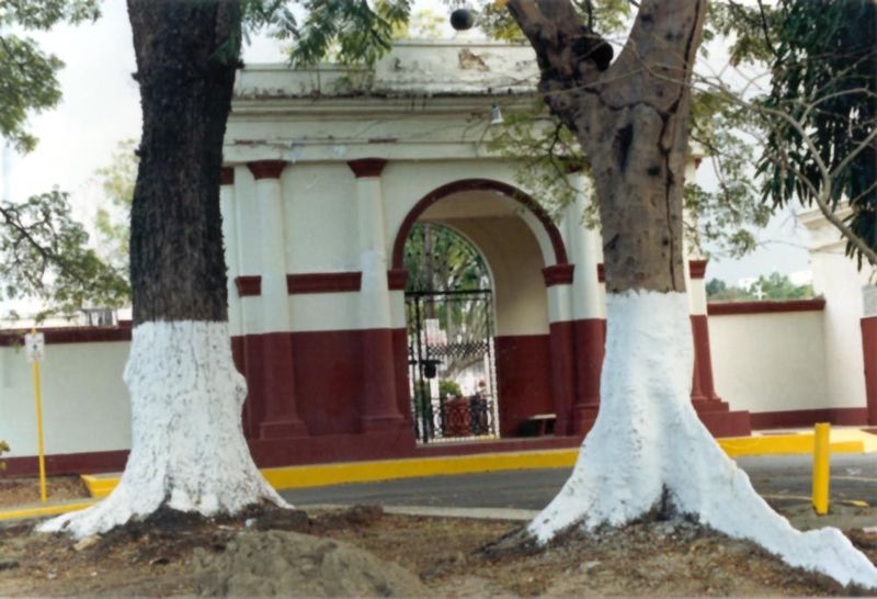 For a time, an agrarian civilization flourished, supporting urban institutions like this school in Mayaguez.