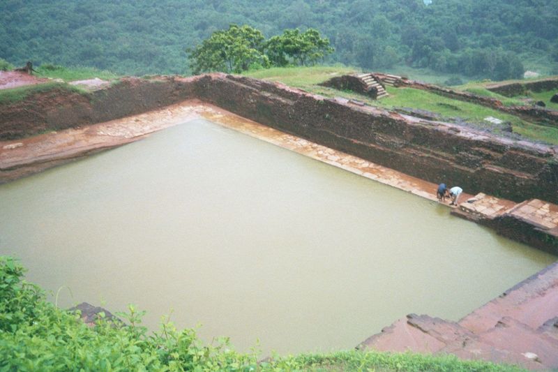 A pond is replenished by the rain.