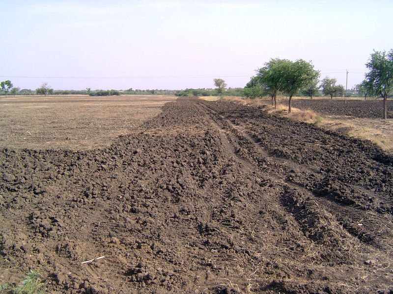 The countryside between Hubli and Bijapur is mostly like this. Before the monsoon, at least, it's dry, flat, and hot. Call it sorghum countr