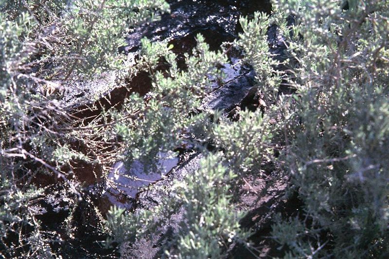 Even in the 1960s, oil made creeks like this one, at McKittrick, run black. Nobody paid much attention.