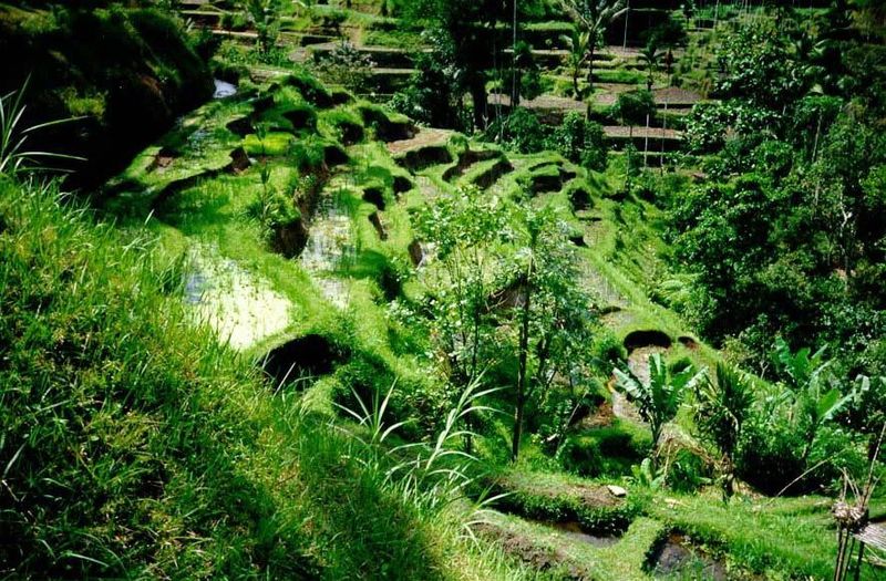 Countless pictures might be taken like this, some steeper, some flatter, but all involving the careful control of irrigation water running d