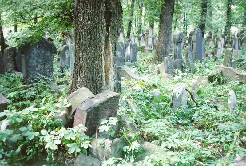 The Jewish Cemetery on the south side of Kracow. It's densely packed, with stones encroaching on walkways and piled on earlier stones until 