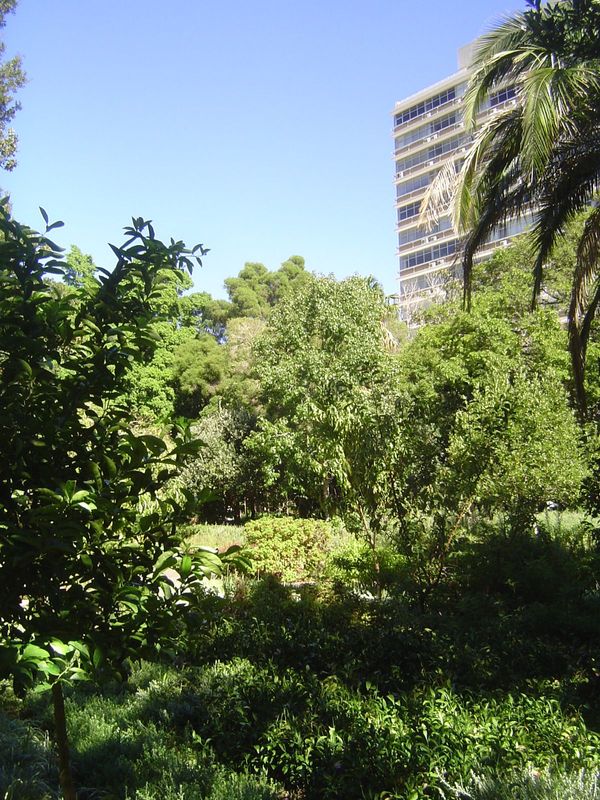 The city's founder, van Riebeeck, ordered the construction of a garden in 1652, the year of the city's founding. A visitor wrote in 1725 tha