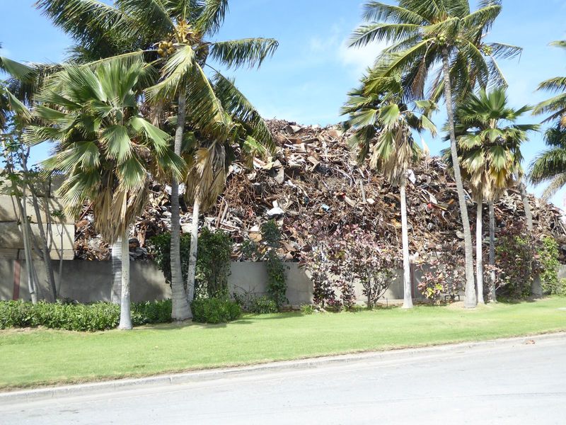 Schnitzer Steel Hawaii. What was the landscaper thinking?