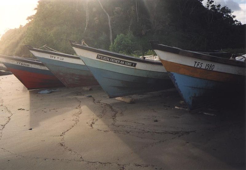 Fishing boats at Morne Diablo, on the south coast of the island. Such boats, fitted with an outboard motor, head each night toward Venezuela