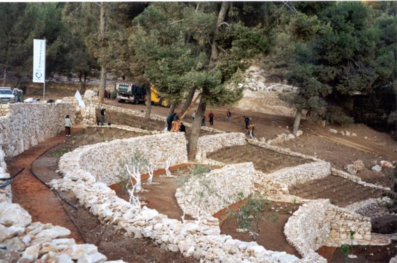 The French paid for some new terraces and olive plantings.