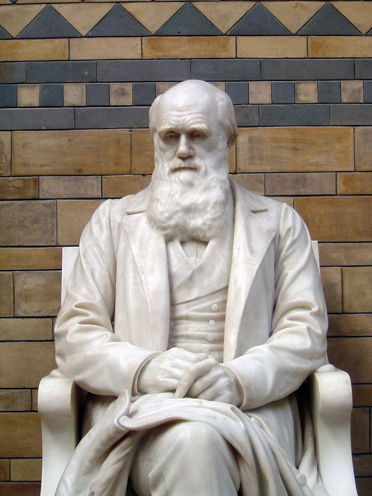 One guess. He sits in the Natural History Museum, of course.