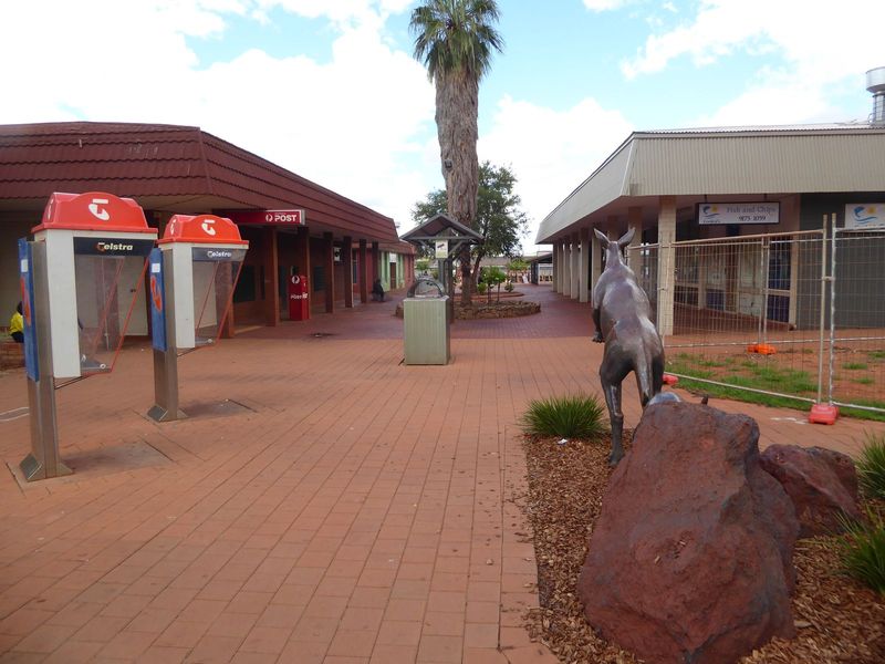 A 'roo stands guard.