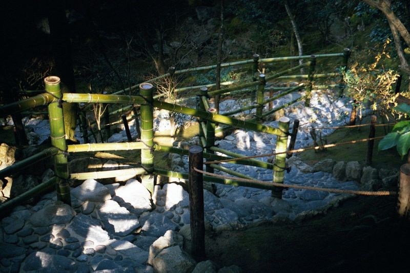Steps and bamboo railings.