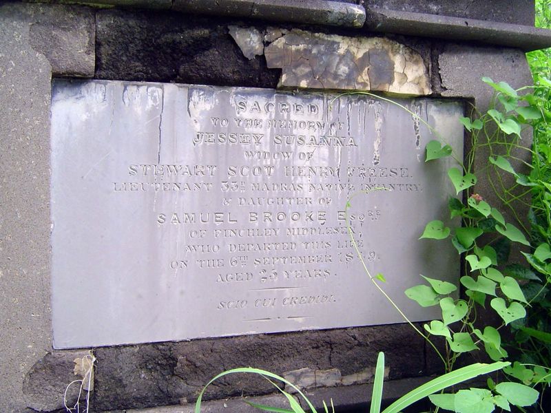 A widow dead at 26. Her husband had died a week earlier. Cholera?