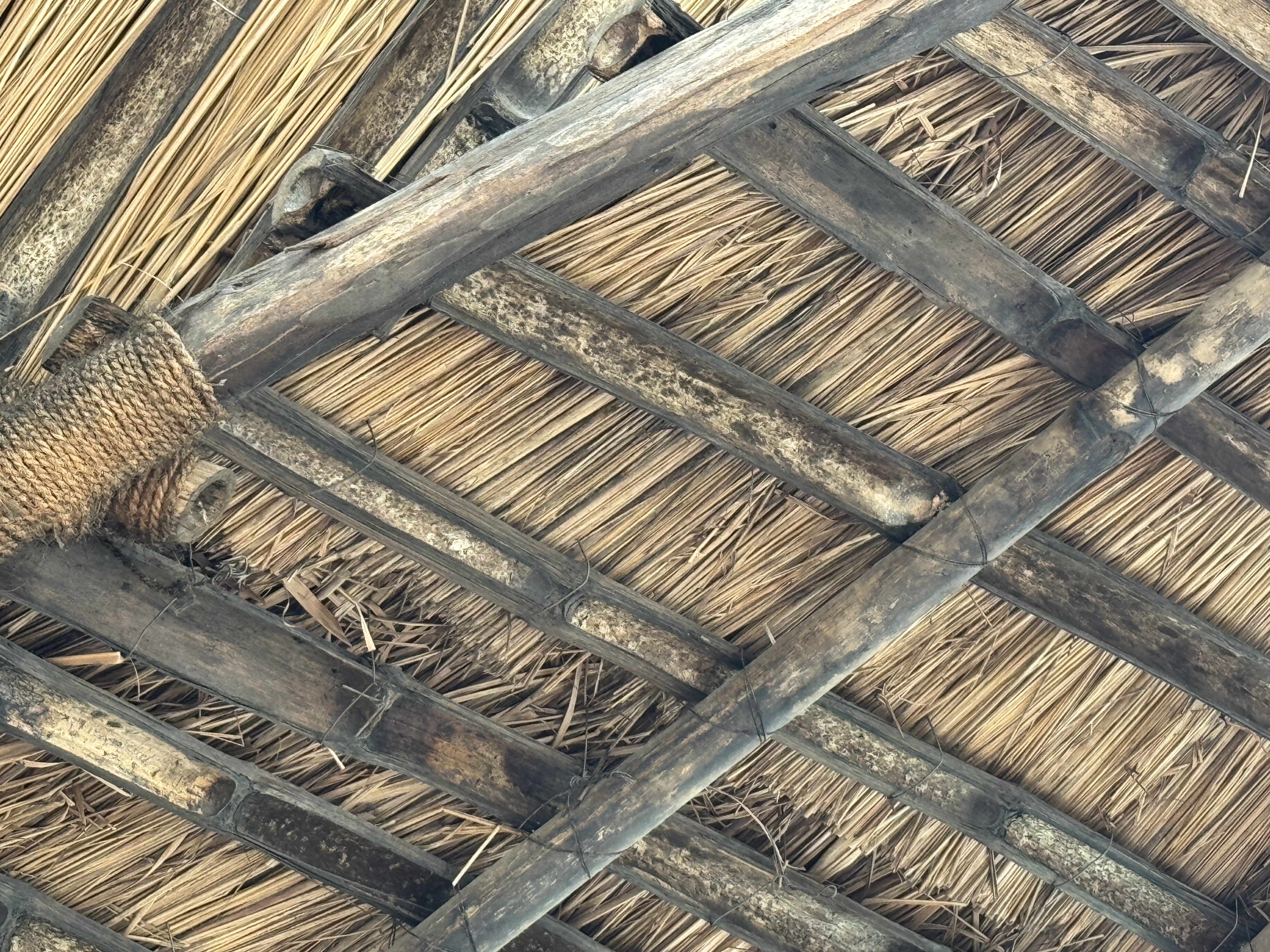 Here's another.  Smoke out the vermin every few years and the thatch will last 20.