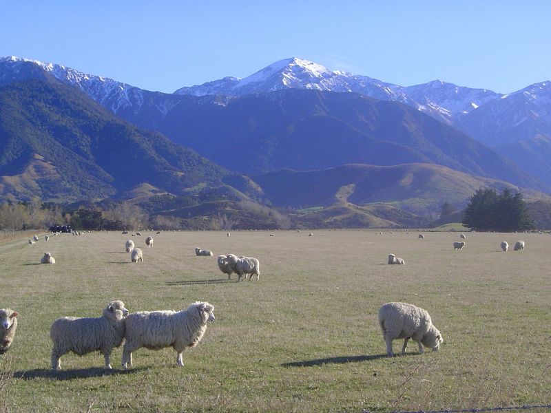 Maybe you don't have to store feed for these critters?