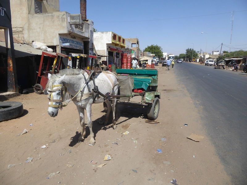 Village transport.
