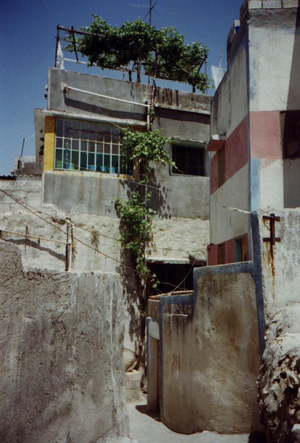 Vines have been trained to grow up to a rooftop pergola on a new house, which has the large windows suggested by Kendall. The bright color i